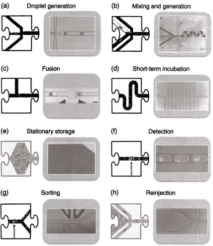 Figure 8.7  A collection of droplet unit operations: (a) droplet generation [46], (b) mixing  and generation [47], (c) fusion [48], (d) incubation, (e) storage (49],  (f)  detection, (g) sorting,  and (h) re-injection (46]