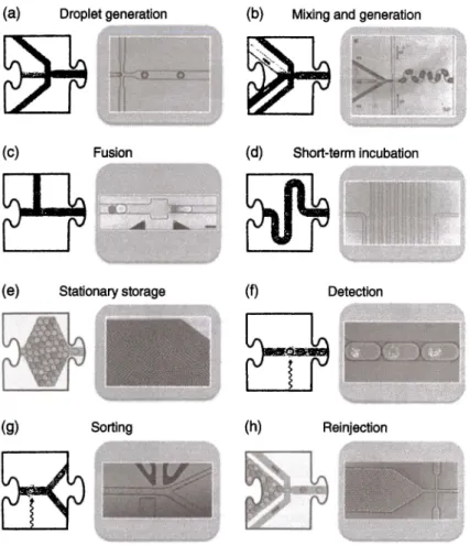 Figure 8.7  A collection of droplet unit operations: (a) droplet generation [46], (b) mixing  and generation [47], (c) fusion [48], (d) incubation, (e) storage (49],  (f)  detection, (g) sorting,  and (h) re-injection (46]