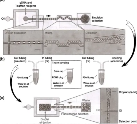 Figure 8.8  Detection of mutated DNA using digital PCR in picoliter microdroplets. (a) An  overview of the system showing the production, mixing, and collection of droplets  containing DNA, PCR reagents, and TaqMan probes