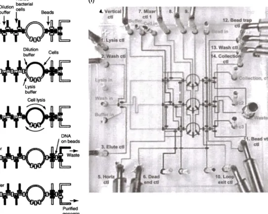 Figure 8.1  Automated on-chip DNA purification. (a-e) The workflow summarizing the on-chip DNA isolation protocol