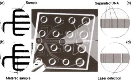 Figure 8.3  Agilent's capillary electrophoresis chip. (a) Sample is delivered to the junction  area