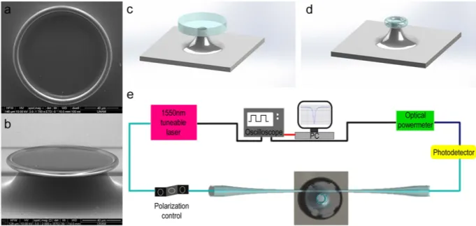 Figure 2.  Microtoroid fabrication and optical coupling setup. Microtoroids (a,b) were fabricated by reflow  of microdisks following microfabrication (c) by a CO 2  laser (d)