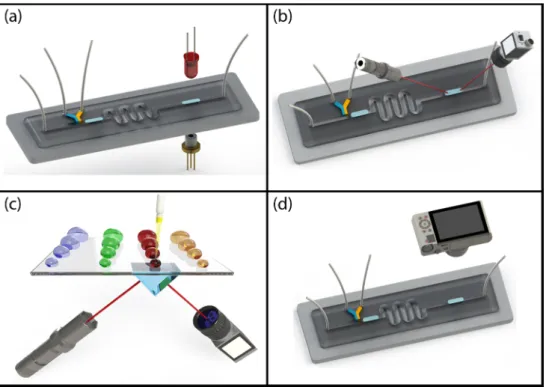 Figure 3. Schematic illustration of label-free optical detection techniques: (a) absorption spectroscopy; 