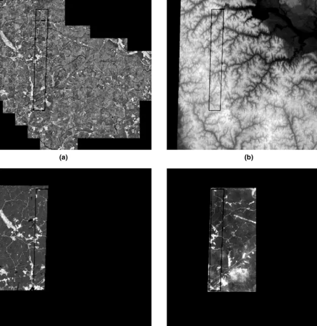 Figure 1. Data for the Fort A.P. Hill scene used in the experiments: (a) Aerial data ( ⬃391 sq