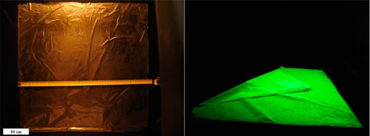 Figure 2. TEM images showing the distribution of InP/ZnS QDs in the PMMA matrix: (a) close to the edge of the ﬁlm cross-section on the TEM grid and (b) an exemplary location at an inner point across the thickness of the cross-section, as is repeated at oth