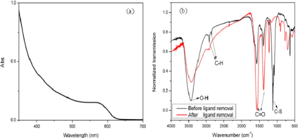 Fig. 2. (a) UV-vis absorption spectrum of aqueous CdTe NCs at room temperature. (b)  Normalized FT-IR spectra of TGA-capped CdTe NCs before and after the ligand removal