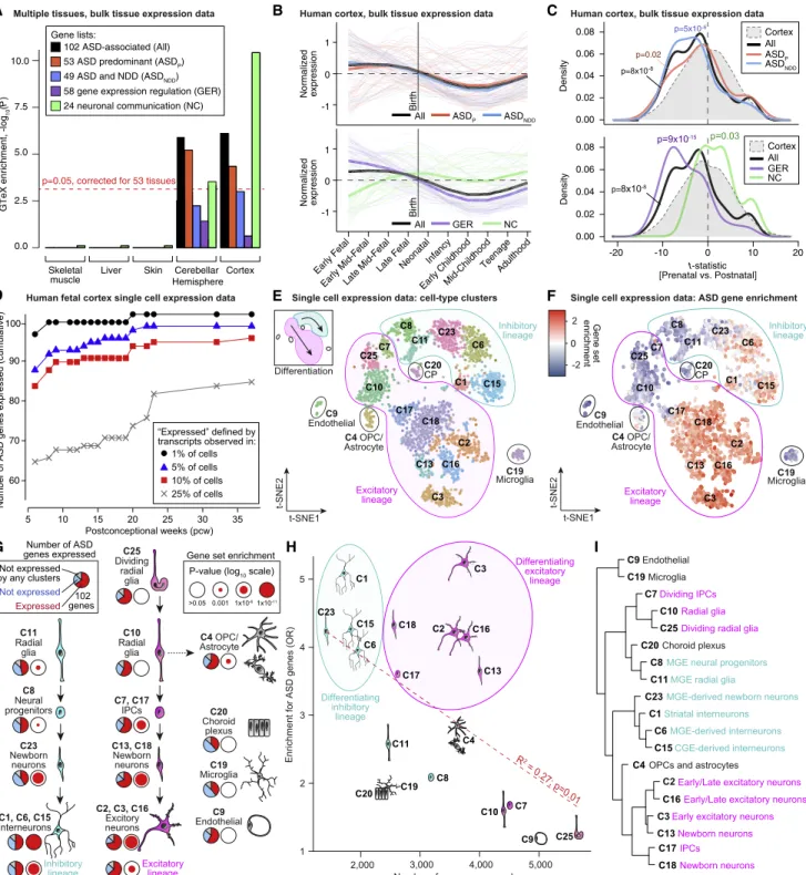 Figure 5. Analysis of 102 ASD-Associated Genes in the Context of Gene Expression Data