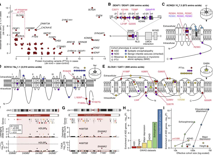 Figure 3. Genetic Characterization of ASD Genes