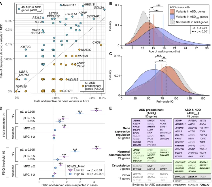 Figure 4. Phenotypic and Functional Categories of ASD-Associated Genes