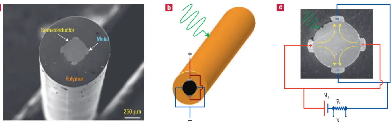 Figure 1 Photodetecting ﬁbres. a, Scanning electron micrograph of a photodetecting ﬁbre cross-section