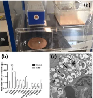 Figure  1:  (a) Laser  material  processing setup and real time  exposure  system, (b) ICP-MS  results of SnNP  distribution in various organs, (c) Representative TEM image of lung sample from SnNP exposed rat