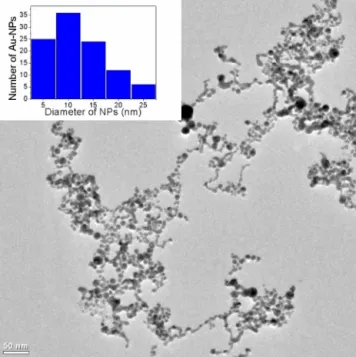 Fig. 1. TEM image of Au-NPs. The inset shows the histogram of size distribution calculated from TEM images.