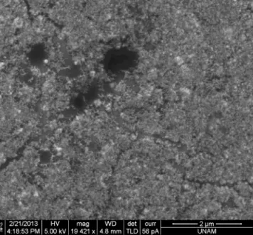 Fig. 3. SEM image of Au-NPs thin ﬁlm on PDMS substrate.