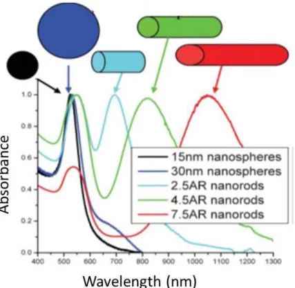 Figure 1-1 Absorption spectra of Au-NPs with different sizes and shapes.Adopted from  Eustis et al