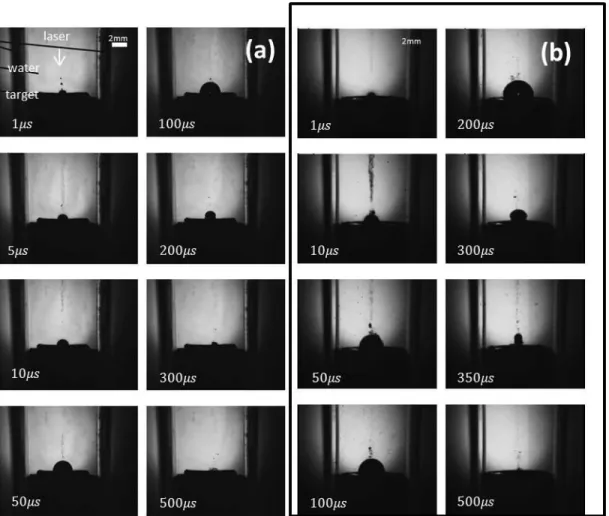 Figure 2-5  Shadow graph pictures at various delay times of laser ablation of silver in  water at laser fluences (a)         and (b)        