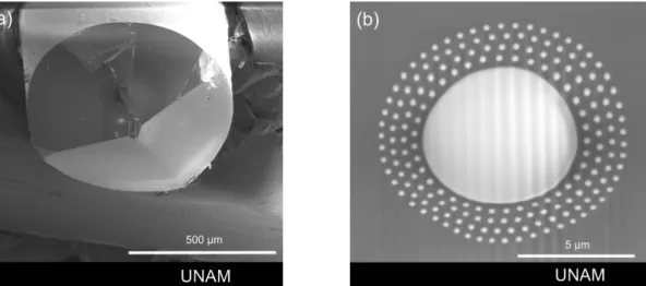 Figure 3.9: (a) SEM image of the fiber after being cleaved and flattened by microtome