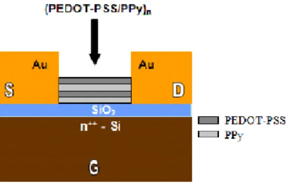 Figure 3.1.2.2.1  Schematic diagram of the layer-by-layer polymer-integrated field effect transistor