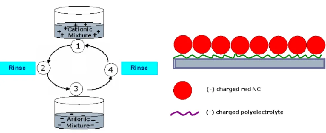 Figure 3.1.2.1 Scheme of the layer-by-layer assembly method for thin film construction of  polymer-nanocrystal bilayers.