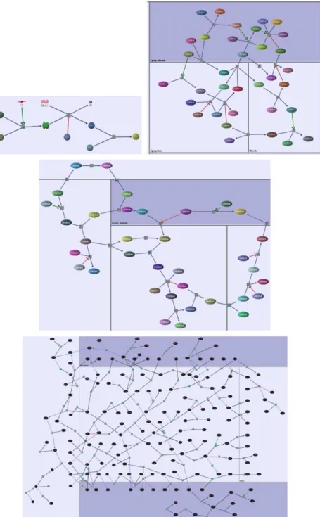 Fig. 6. Layouts of randomly generated pathway graphs of varying size and complexity. (For colour see online version.)
