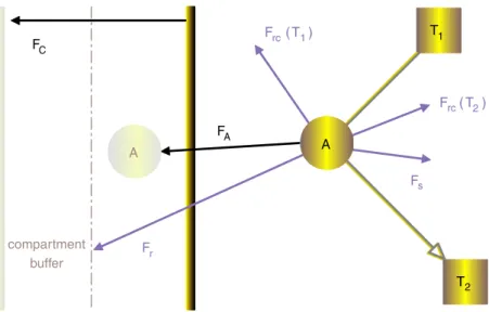 Fig. 3. An example showing various types of forces on a state A (F s , F r , and F rc : spring, repulsion, and relativity constraint forces, respectively) and a compartment separator