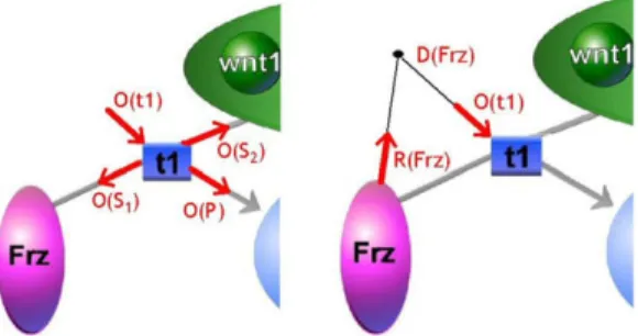 Fig. 4 illustrates the basics of our physical model with an example.