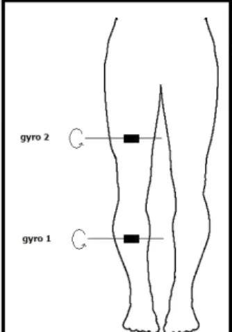 Figure 3. Position of the two gyroscopes on the human leg (body figure adopted from http://www.answers.com/body breadths).