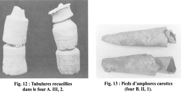 Fig.  12  :  Tubulures recueillies 