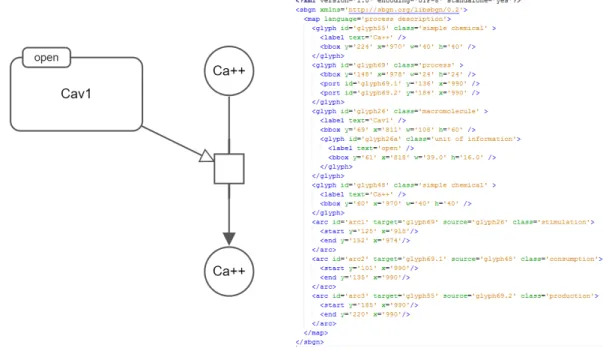 Figure 2.9: A sample SBGN-PD map (left) and its relevant representation in SBGN-ML (right)