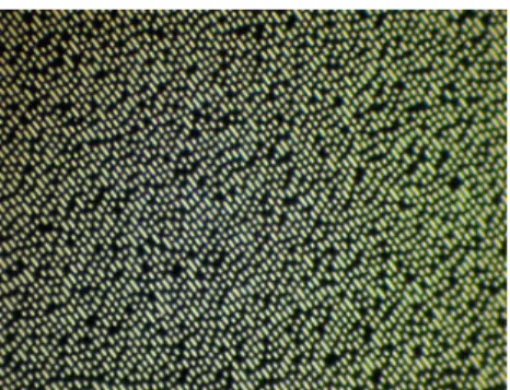 Fig. 1 Lands and pits image using an optical microscope