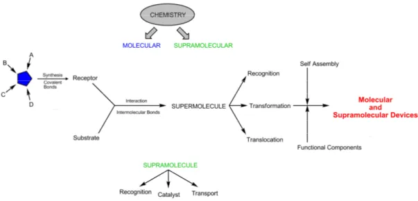 Figure 1. Comparison between molecular and supramolecular chemistry 1 
