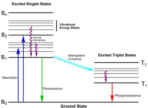 Figure 3. Jablonski Diagram 