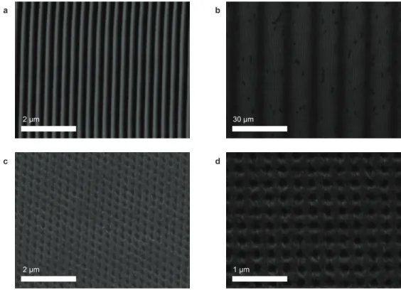 Figure 2.2: SEM Micrographs of various surface patterns. (a)Sine grating with 300 nm period