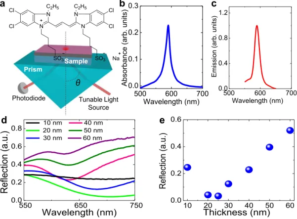 Figure 3.1: Experimental setup, and optical properties of TDBC dye and the hybrid structure