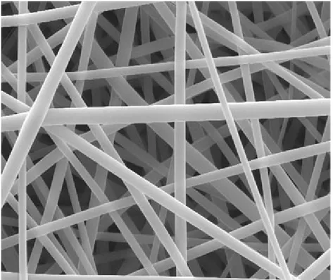 Figure 2.4: A SEM image that shows fibers produced by electrospinning [42].