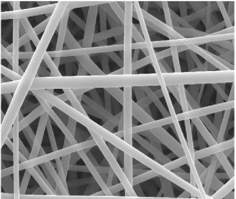 Figure 2.4: A SEM image that shows fibers produced by electrospinning [42].