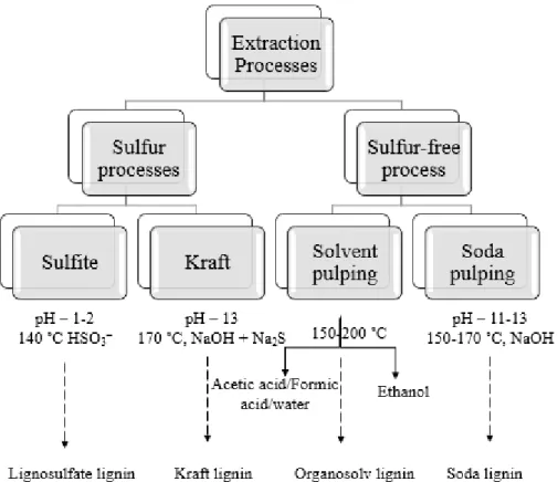 Figure 2: Different lignin types and utilization methods [9]. 