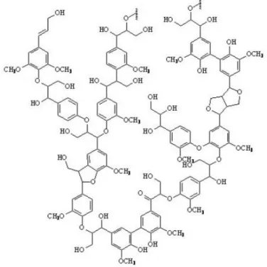 Figure 3: General chemical structure of lignin 