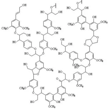 Figure 3: General chemical structure of lignin 