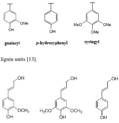 Figure 4: Generic lignin units [13]. 