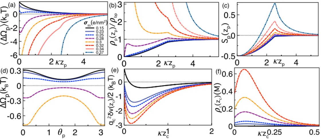 FIG. 5. (a) Grand potential (47) averaged over polymer rotations, (b) polymer density (49), (c) orientational order parameter (50), (d) the angular dependence of the polymer grand potential at z p = L/2, (e) ionic self-energy contribution to the counterion