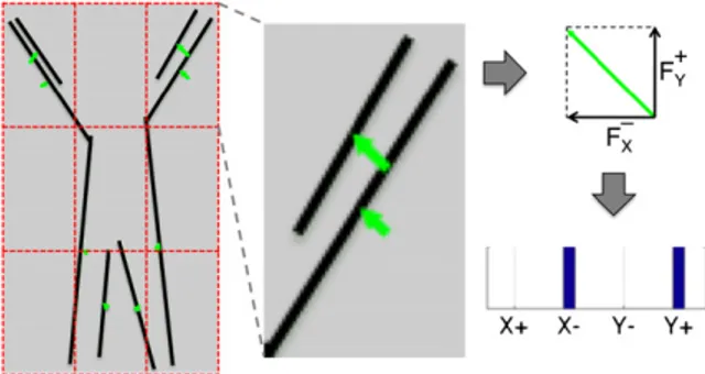 Fig. 6. This ﬁgure illustrates extraction of line-ﬂow vectors and histo- histo-grams for a single frame