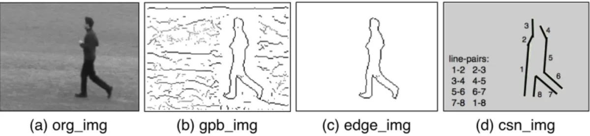 Figure 3.1: This figure illustrates the steps of pose extraction. Given any frame (a), GPB are computed to extract the contours (b)