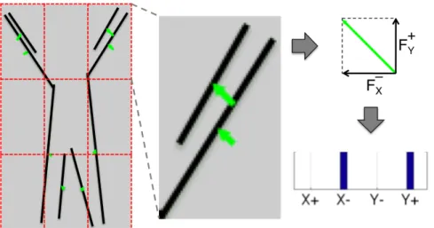 Figure 3.6: This figure illustrates extraction of line-flow vectors and histograms for a single frame (best viewed in color)