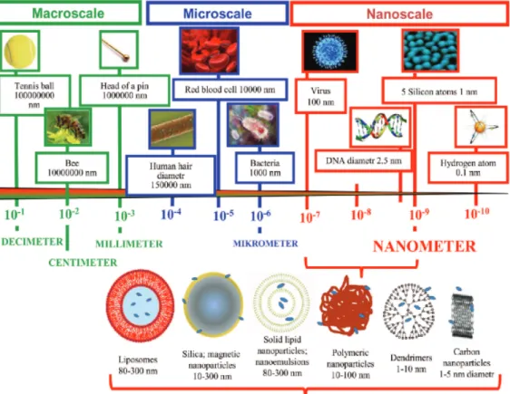 Figure 1.5: Nanoparticle drug delivery systems (adapted from Wilczweska, 2012). 