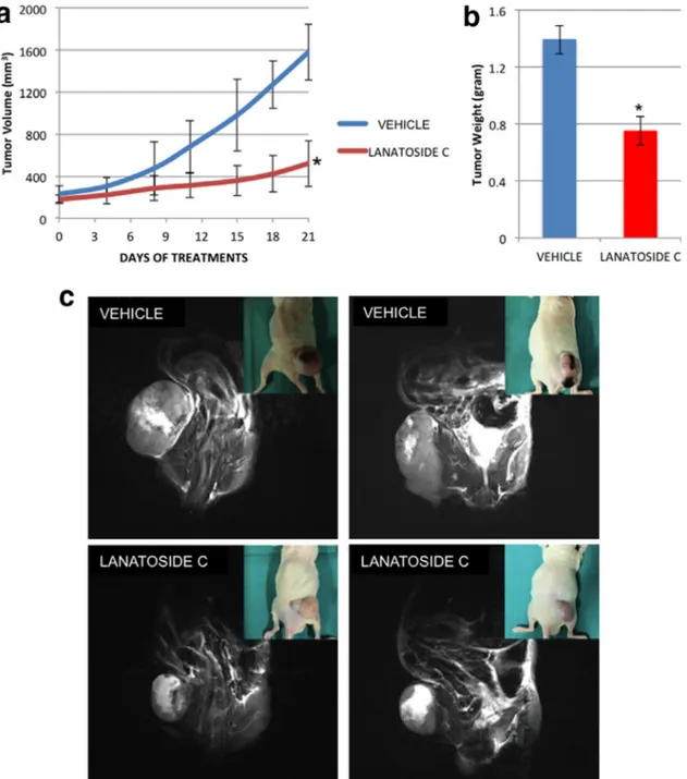 Fig. 6. In vivo anti-tumor activity of Lanatoside C. Nude mice were treated with vehicle control or 6 mg/kg Lanatoside C