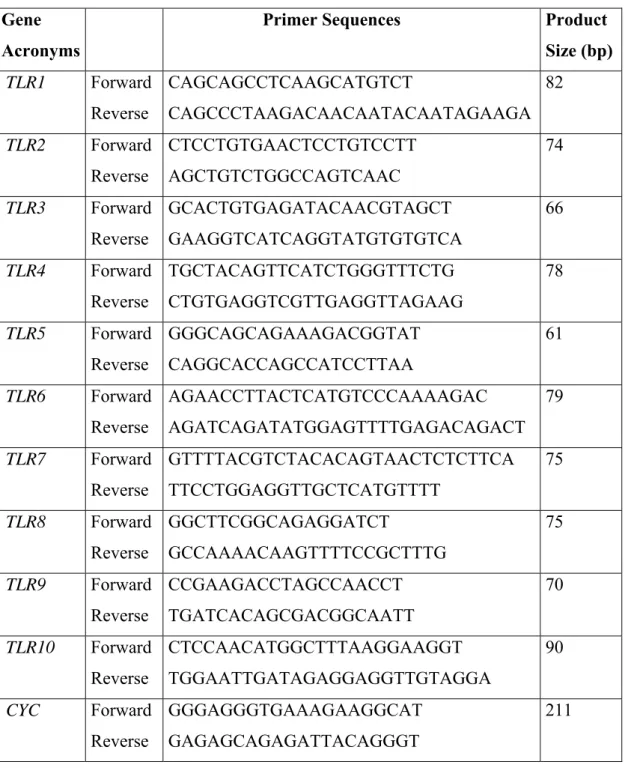Table 3.3. The sequences and the sizes of the rat TLR primers used in this study  (adopted from Hubert et al., 2006)