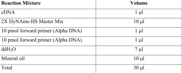 Table 3.4. Reaction composition for real time PCR 