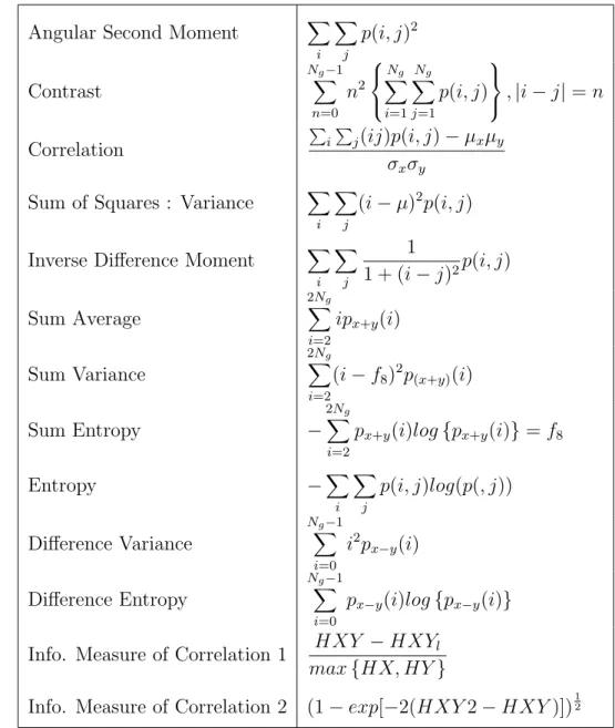 Table 2.2: Cooccurrence matrix features