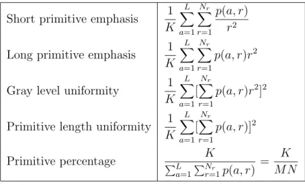 Table 2.3: The mostly used run-length matrix features