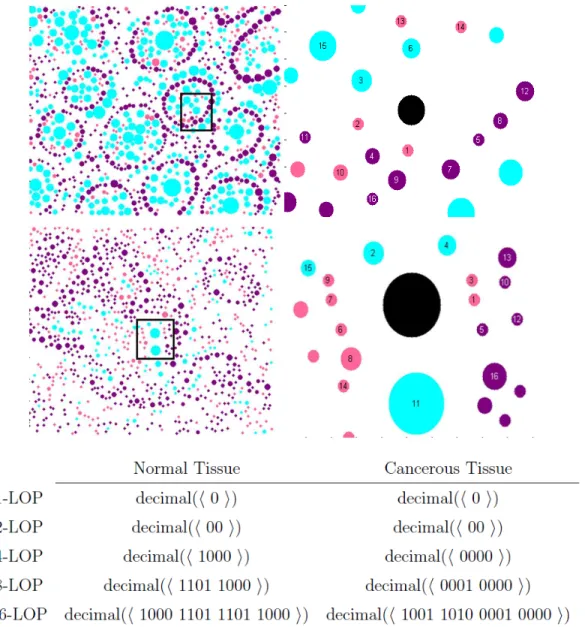 Figure 3.2: Extracting local object patterns for the objects shown in black. Here m is selected as 4, thus S =